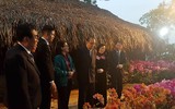 Đoàn đại biểu cấp cao Triều Tiên thăm mô hình trồng hoa lan tại Đan Phượng, Hà Nội